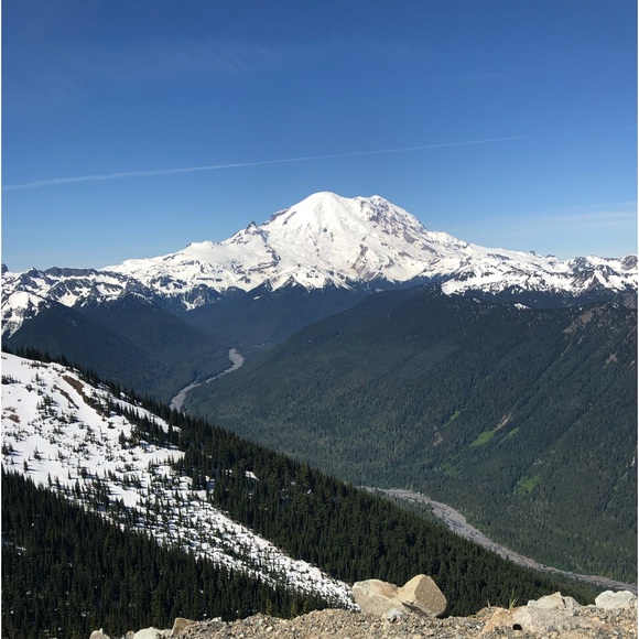 angiedr2019